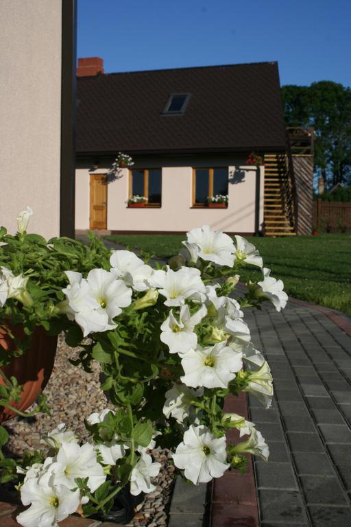 Brivdienu Maja Riekstnieki Plieņciems Buitenkant foto